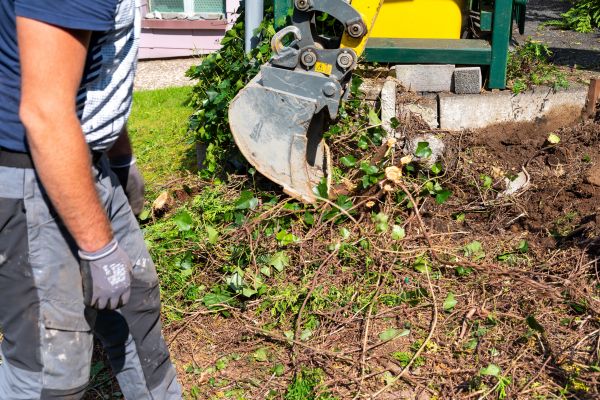 Hedge Removal Service in Mission Viejo
