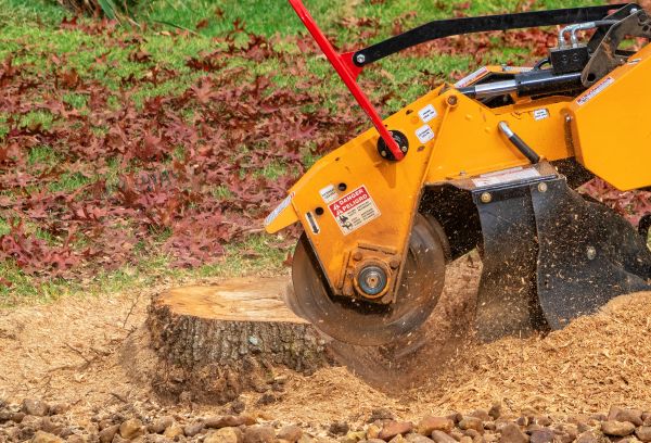Tree Stump Grinding Service