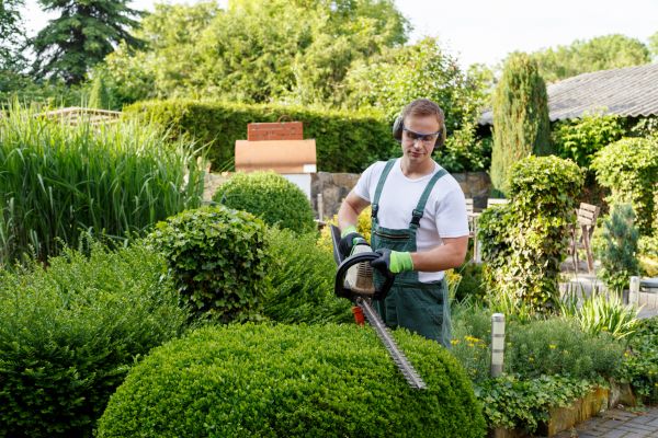 Shrubs Trimming in Mission Viejo
