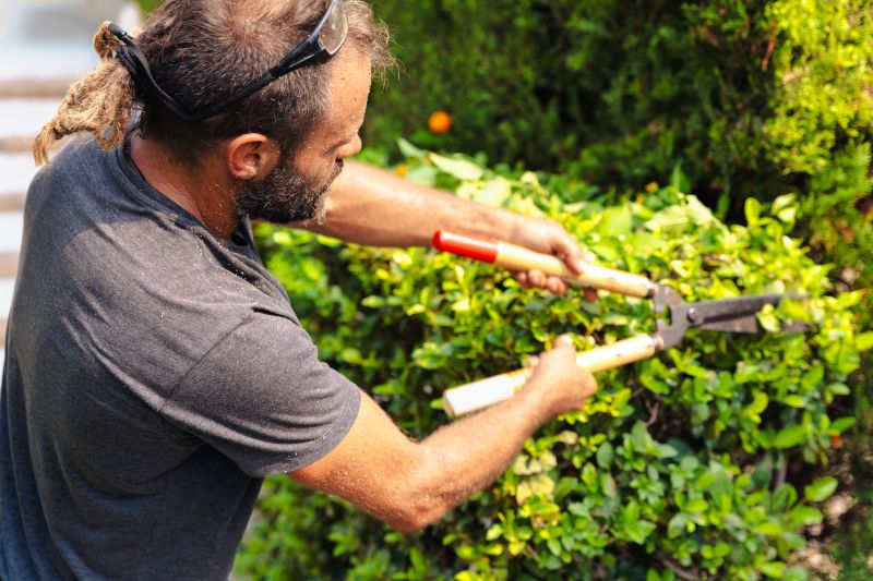 Shrub Cutting